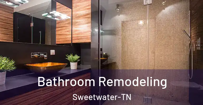 inner Bathroom imggen Bathroom Remodeling Sweetwater-TN