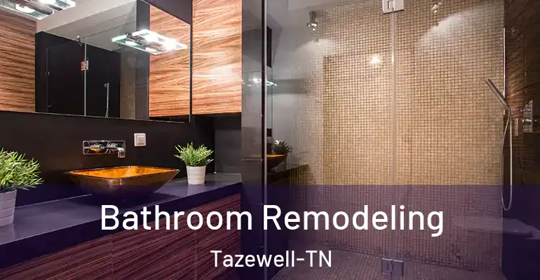 inner Bathroom imggen Bathroom Remodeling Tazewell-TN