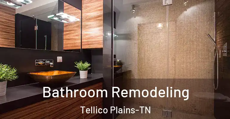 inner Bathroom imggen Bathroom Remodeling Tellico Plains-TN