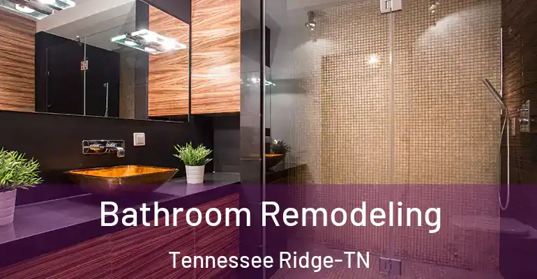 inner Bathroom imggen Bathroom Remodeling Tennessee Ridge-TN