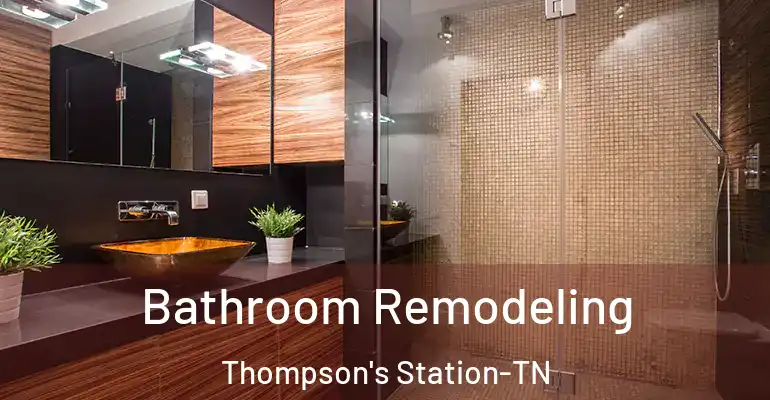 inner Bathroom imggen Bathroom Remodeling Thompson's Station-TN