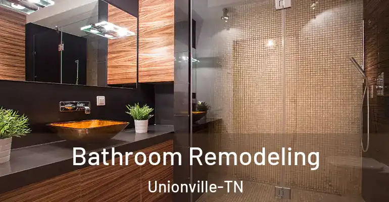 inner Bathroom imggen Bathroom Remodeling Unionville-TN