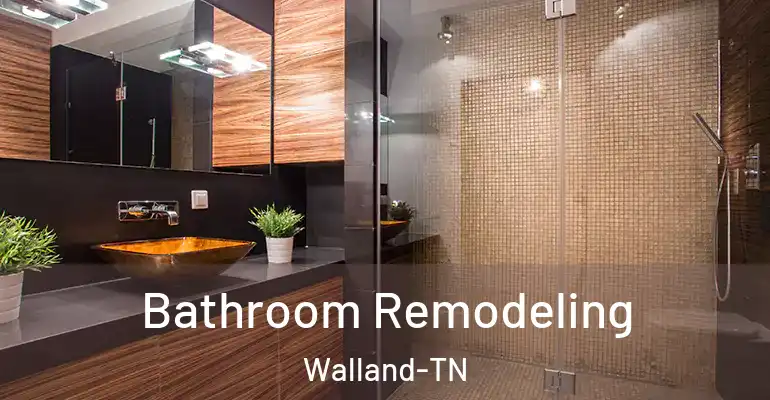 inner Bathroom imggen Bathroom Remodeling Walland-TN