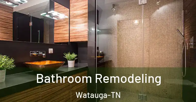inner Bathroom imggen Bathroom Remodeling Watauga-TN