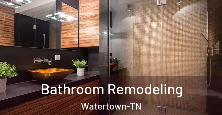 inner Bathroom imggen Bathroom Remodeling Watertown-TN