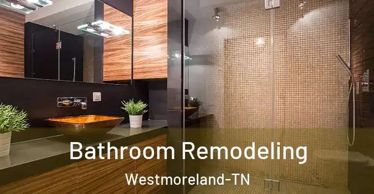 inner Bathroom imggen Bathroom Remodeling Westmoreland-TN