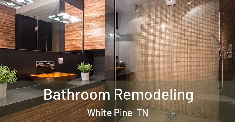 inner Bathroom imggen Bathroom Remodeling White Pine-TN