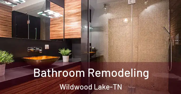 inner Bathroom imggen Bathroom Remodeling Wildwood Lake-TN