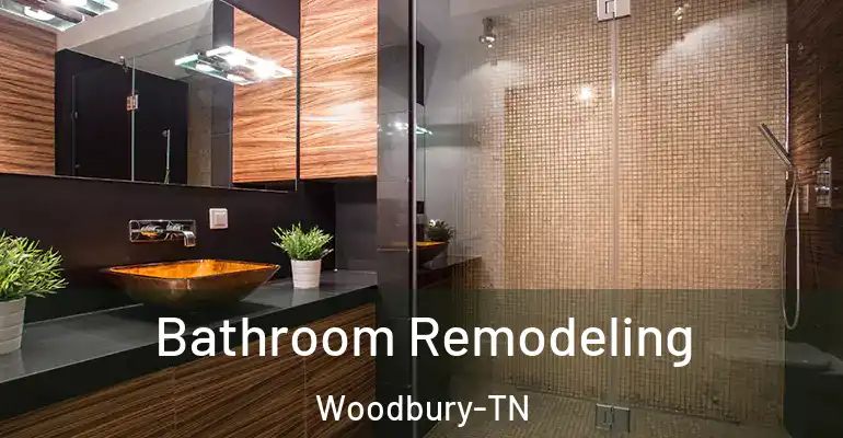 inner Bathroom imggen Bathroom Remodeling Woodbury-TN