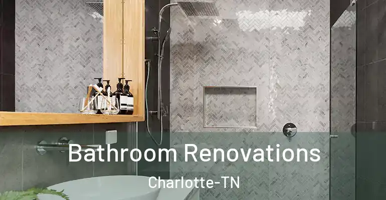 inner Bathroom imggen Bathroom Renovations Charlotte-TN