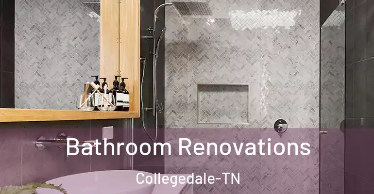 inner Bathroom imggen Bathroom Renovations Collegedale-TN