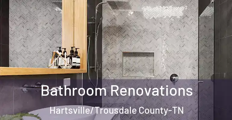 inner Bathroom imggen Bathroom Renovations Hartsville/Trousdale County-TN