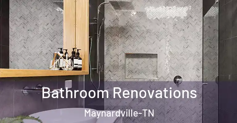 inner Bathroom imggen Bathroom Renovations Maynardville-TN