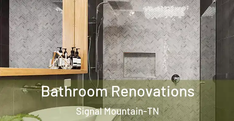 inner Bathroom imggen Bathroom Renovations Signal Mountain-TN