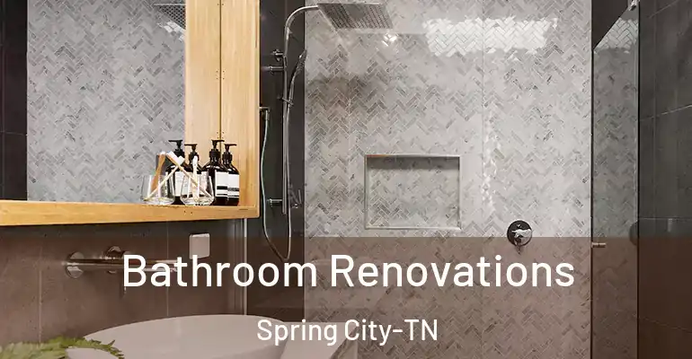 inner Bathroom imggen Bathroom Renovations Spring City-TN