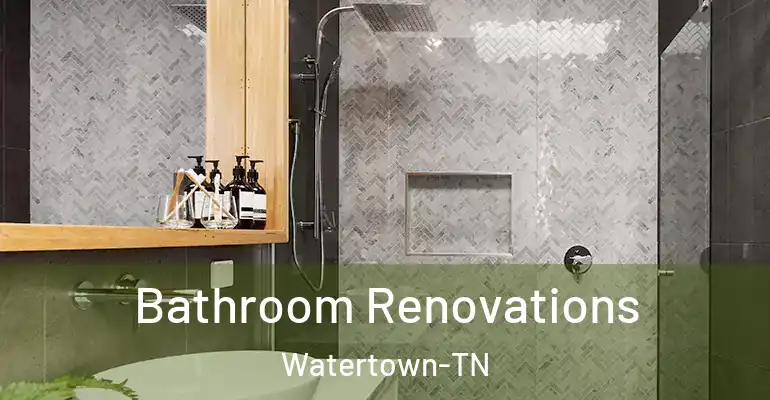 inner Bathroom imggen Bathroom Renovations Watertown-TN