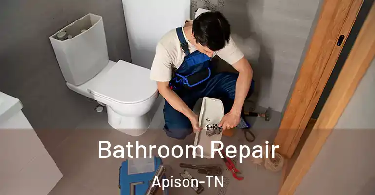inner Bathroom imggen Bathroom Repair Apison-TN