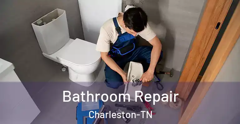 inner Bathroom imggen Bathroom Repair Charleston-TN