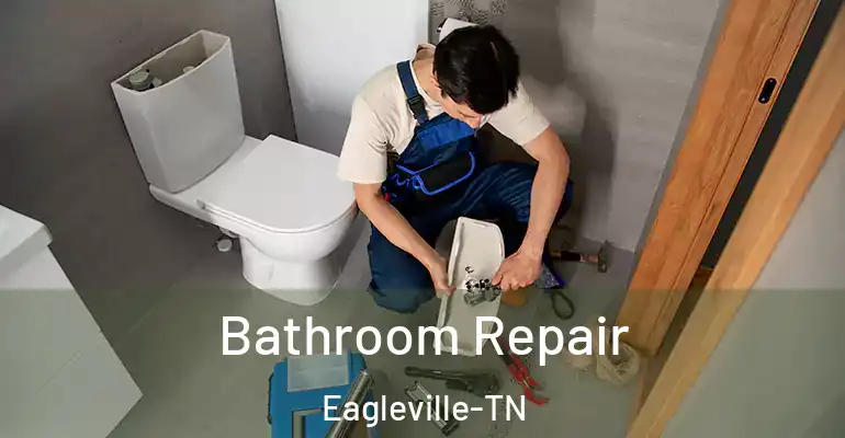 inner Bathroom imggen Bathroom Repair Eagleville-TN