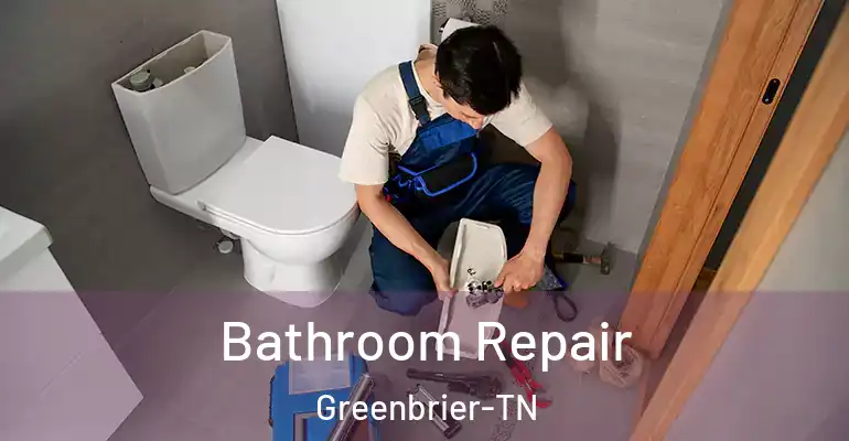 inner Bathroom imggen Bathroom Repair Greenbrier-TN