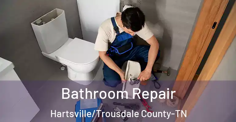 inner Bathroom imggen Bathroom Repair Hartsville/Trousdale County-TN