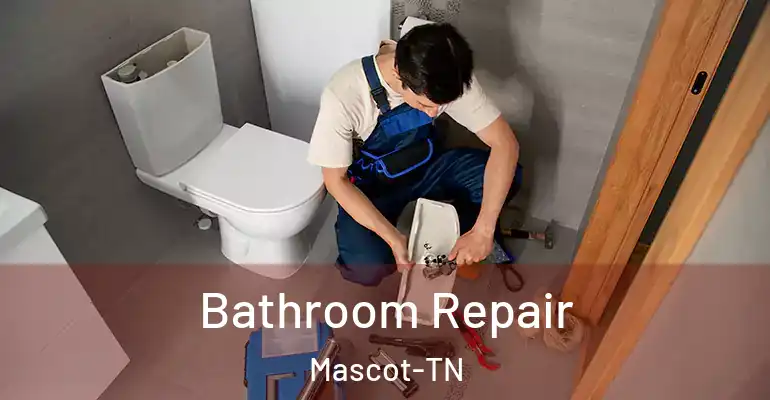 inner Bathroom imggen Bathroom Repair Mascot-TN