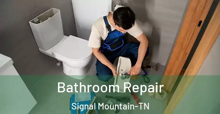 inner Bathroom imggen Bathroom Repair Signal Mountain-TN