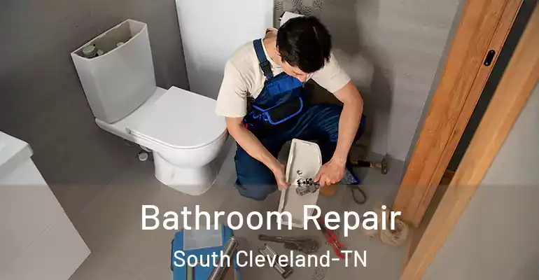 inner Bathroom imggen Bathroom Repair South Cleveland-TN