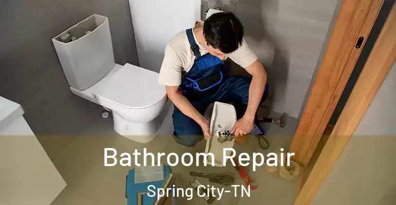 inner Bathroom imggen Bathroom Repair Spring City-TN