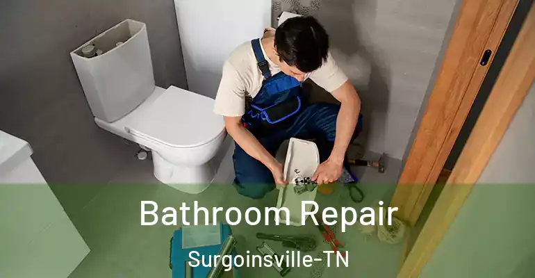 inner Bathroom imggen Bathroom Repair Surgoinsville-TN