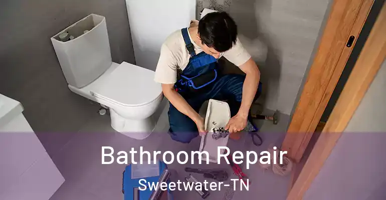 inner Bathroom imggen Bathroom Repair Sweetwater-TN