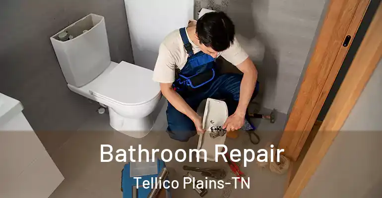 inner Bathroom imggen Bathroom Repair Tellico Plains-TN