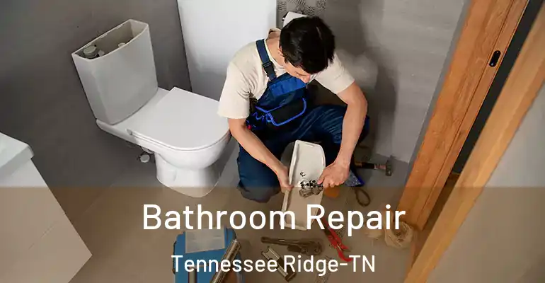 inner Bathroom imggen Bathroom Repair Tennessee Ridge-TN