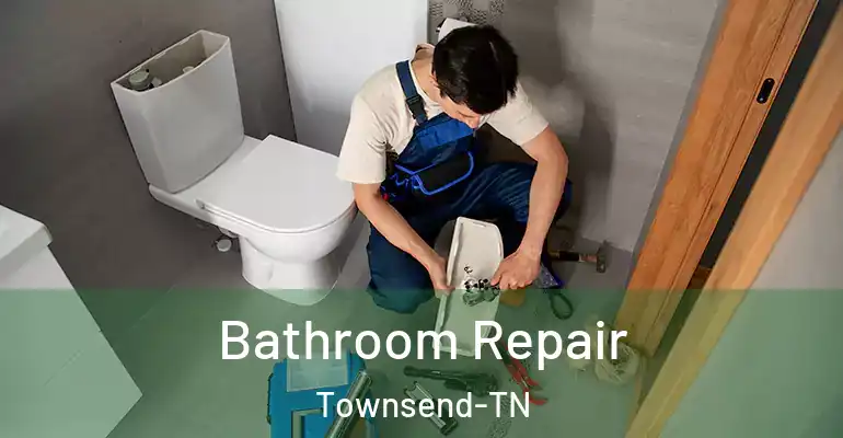 inner Bathroom imggen Bathroom Repair Townsend-TN