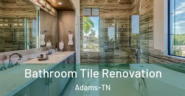 inner Bathroom imggen Bathroom Tile Renovation Adams-TN
