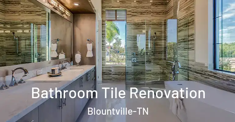 inner Bathroom imggen Bathroom Tile Renovation Blountville-TN