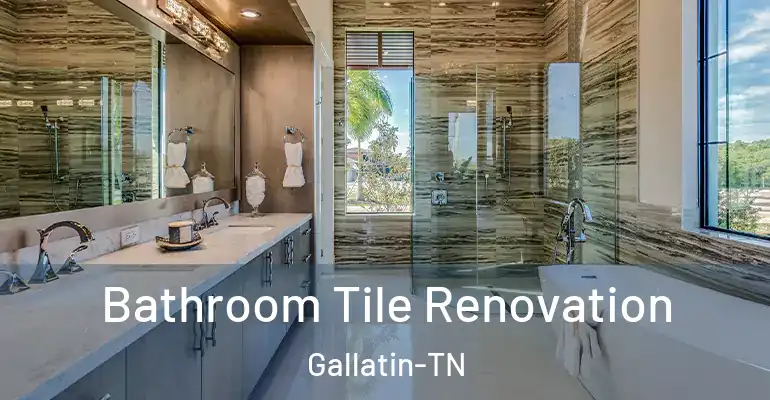 inner Bathroom imggen Bathroom Tile Renovation Gallatin-TN