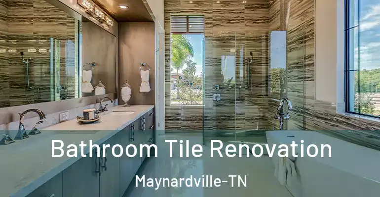 inner Bathroom imggen Bathroom Tile Renovation Maynardville-TN
