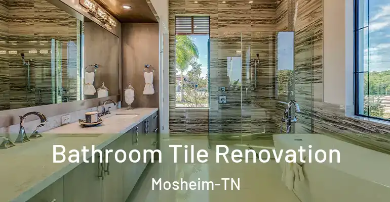 inner Bathroom imggen Bathroom Tile Renovation Mosheim-TN