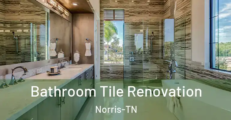 inner Bathroom imggen Bathroom Tile Renovation Norris-TN