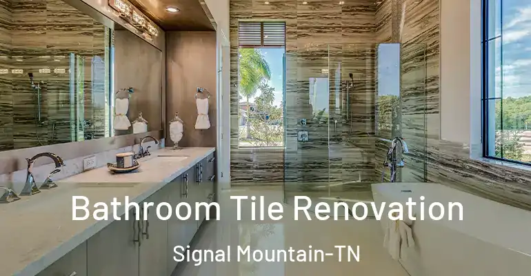 inner Bathroom imggen Bathroom Tile Renovation Signal Mountain-TN