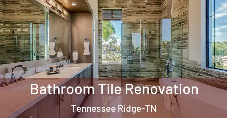 inner Bathroom imggen Bathroom Tile Renovation Tennessee Ridge-TN