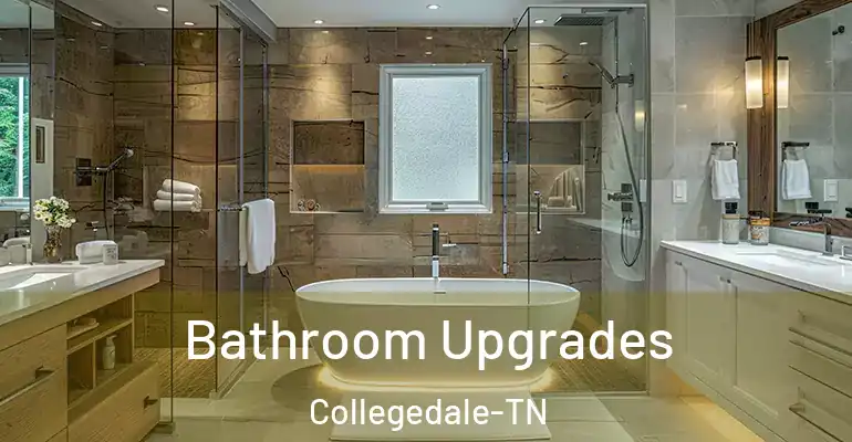 inner Bathroom imggen Bathroom Upgrades Collegedale-TN