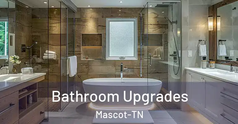 inner Bathroom imggen Bathroom Upgrades Mascot-TN