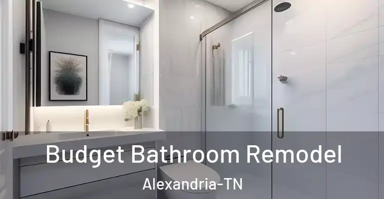 inner Bathroom imggen Budget Bathroom Remodel Alexandria-TN