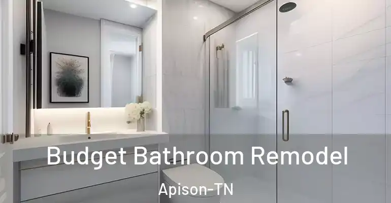 inner Bathroom imggen Budget Bathroom Remodel Apison-TN