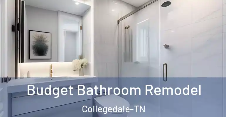 inner Bathroom imggen Budget Bathroom Remodel Collegedale-TN