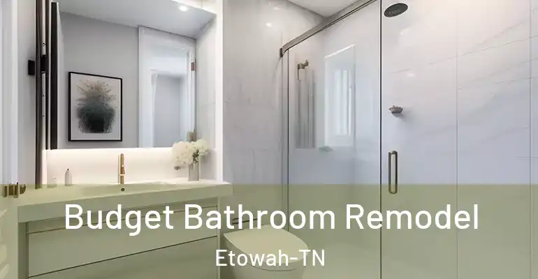 inner Bathroom imggen Budget Bathroom Remodel Etowah-TN