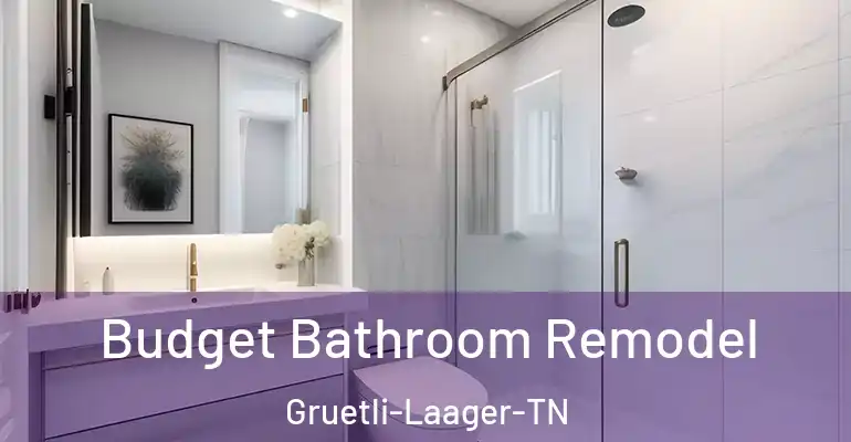 inner Bathroom imggen Budget Bathroom Remodel Gruetli-Laager-TN