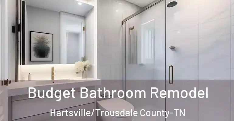 inner Bathroom imggen Budget Bathroom Remodel Hartsville/Trousdale County-TN